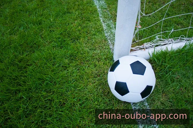 移动端体育平台服务场景